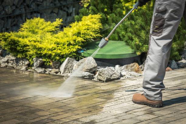 Best Driveway Pressure Washing  in Nashville, AR