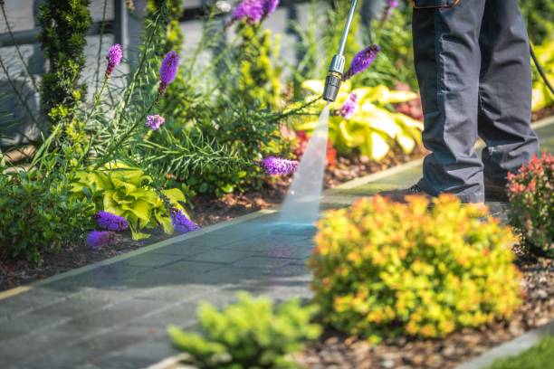 Nashville, AR Pressure Washing Services Company